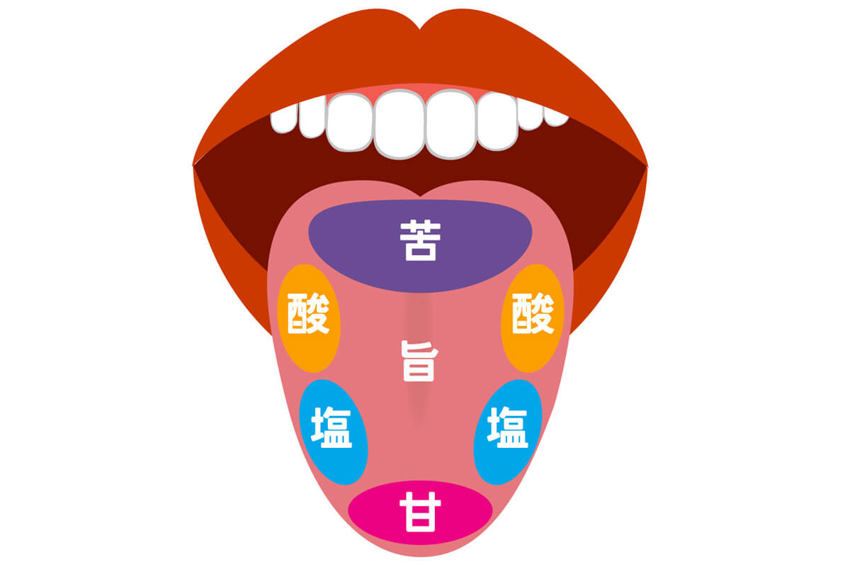甘味、塩味、苦味、酸味、うま味に続く「6番目の味覚」として名前が挙がる「意外なもの」（写真3） | デイリー新潮