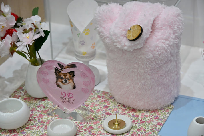 25年15号グラビア インターペット_11