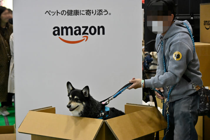 25年15号グラビア インターペット_12