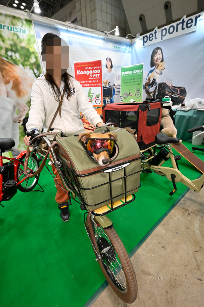 25年15号グラビア インターペット_6