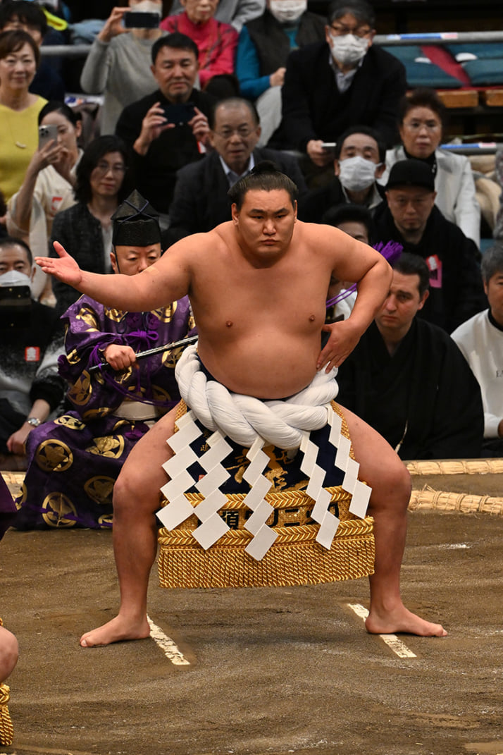 豊昇龍2