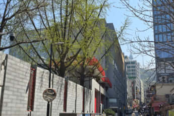 明洞にある中国大使館付近