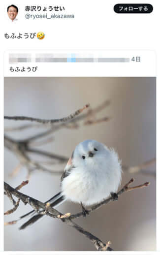 赤沢亮正のX