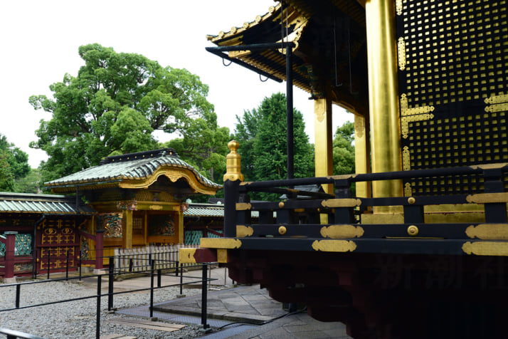 上野東照宮4