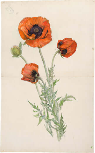 ヒルマ・アフ・クリント_6