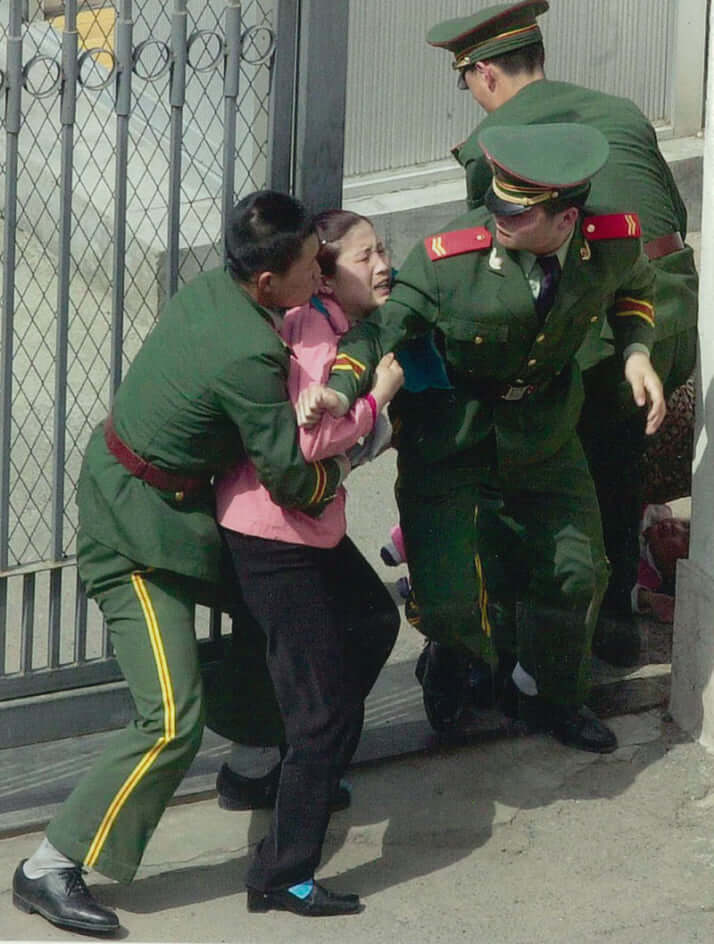 ハンミちゃん一家_2