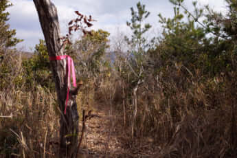 登山道の目印