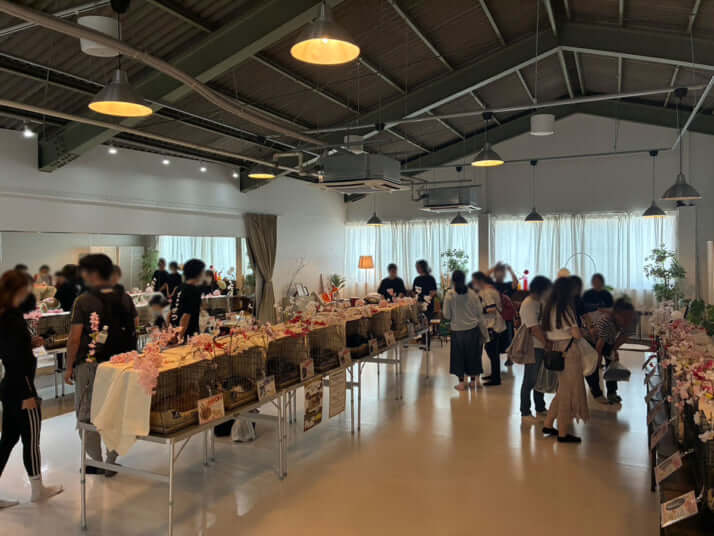 譲渡会の会場