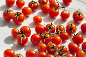 プチトマトイメージ