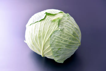 キャベツイメージ