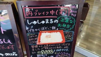 ぼだっこ飯弁当