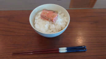 ぼだっことコメ