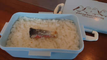 ぼだっこ弁当