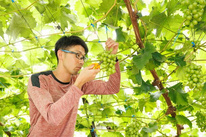 木村和史