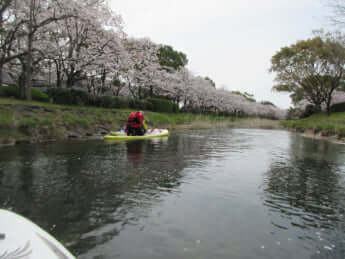 デジカメ撮影