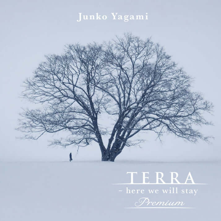 八神純子_TERRA - here we will stay