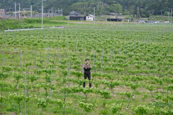 25年21号グラビア とみおかワイナリー_3