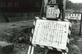 武川知子