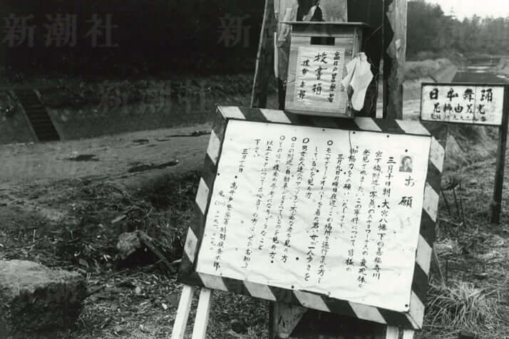 武川知子