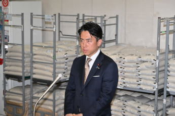 25年22号グラビア 小泉進次郎_10