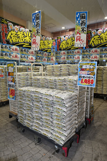 25年22号グラビア 小泉進次郎_14