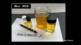 瀬戸晴海_2_ディッパー