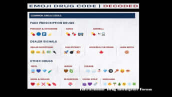 瀬戸晴海_4_ディッパー