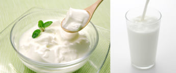 ヨーグルト、牛乳イメージ