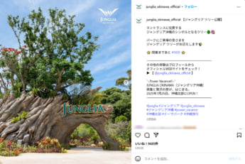 ジャングリア沖縄7