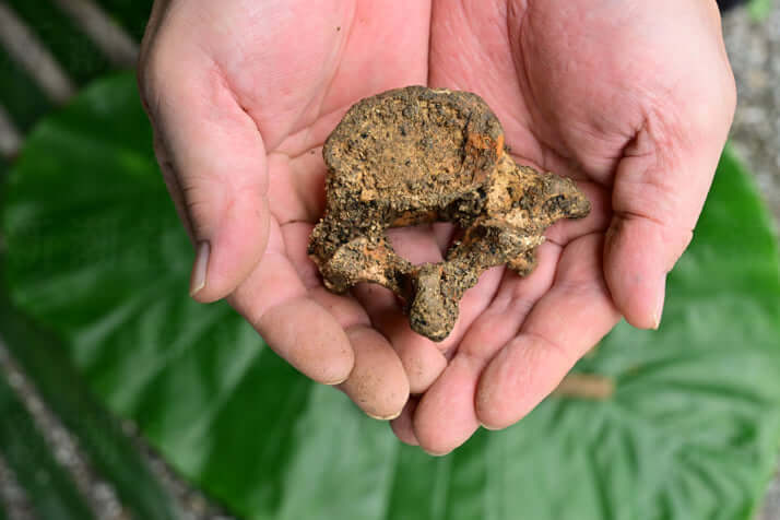 25年25号グラビア 遺骨_3