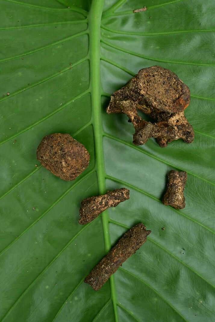 25年25号グラビア 遺骨_5