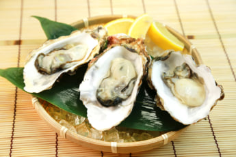 牡蠣イメージ
