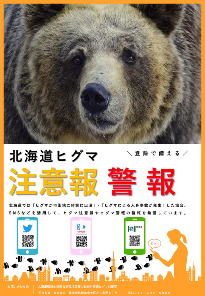 ヒグマ9