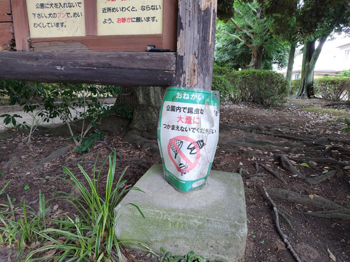 セミ8
