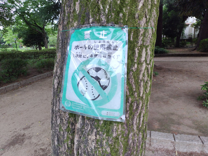 セミ9
