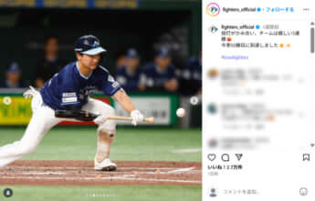 北海道日本ハムファイターズ