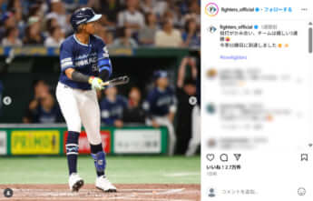 北海道日本ハムファイターズ