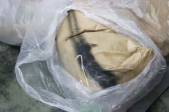 橋本愛喜_はたらく人たち_ネズミ