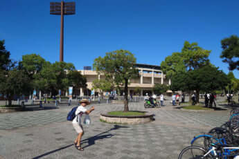 甲子園