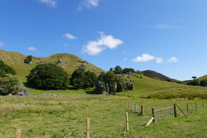 ニュージーランドイメージ