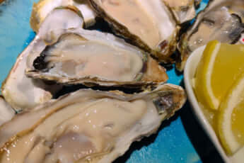 牡蠣イメージ