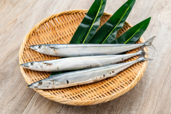 秋刀魚イメージ