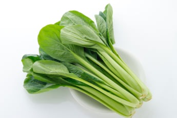 小松菜イメージ