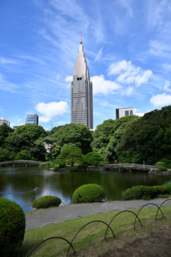 25年30号グラビア 昆虫_1