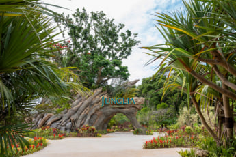 ジャングリア沖縄2