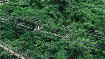 ジャングリア沖縄6