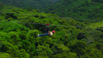 ジャングリア沖縄7