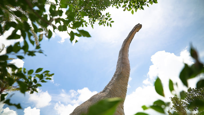 ジャングリア沖縄11