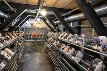 25年31号グラビア 戦争遺跡_11