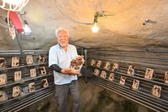 25年31号グラビア 戦争遺跡_12